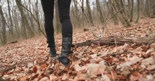 Kamera Následující Ženy Nohy Při Chůzi Lese Zpomalený Pohyb — Stock video