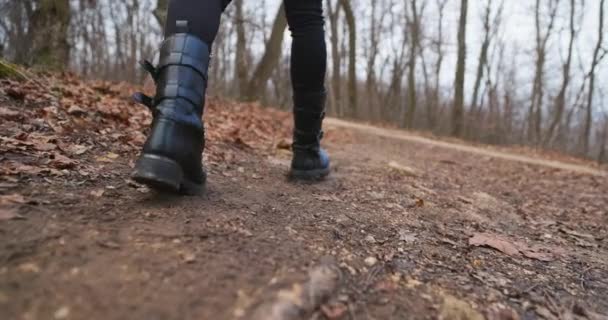 Ormanda Ağır Çekimde Yürürken Kadın Bacaklarını Takip Eden Kamera — Stok video
