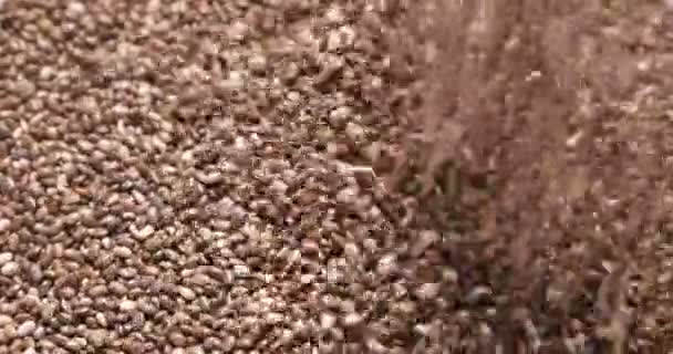 Detailní záběry přírodních sušených fazolí chia tekoucích — Stock video