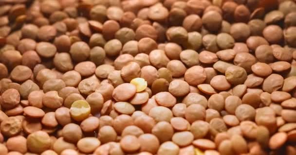 Imagens de close-up de lentilhas marrons secas naturais girando — Vídeo de Stock