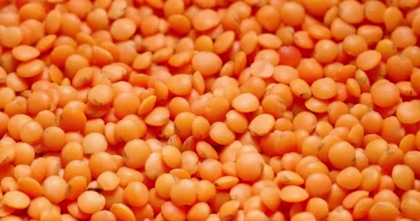 Imagens de close-up de lentilhas vermelhas secas naturais girando — Vídeo de Stock