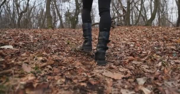 Φωτογραφική μηχανή μετά τα πόδια γυναίκα, ενώ το περπάτημα στο δάσος αργή κίνηση — Αρχείο Βίντεο