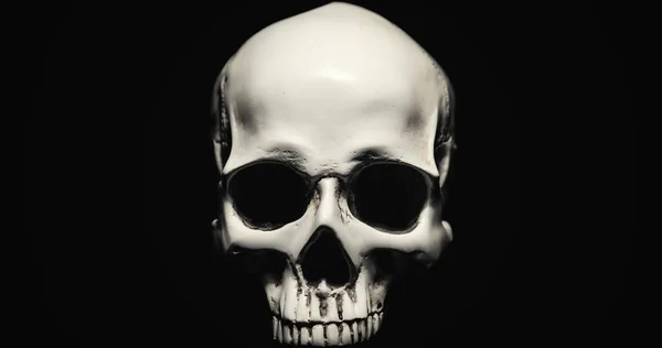 Weißer Totenkopf Vor Dunkelschwarzem Hintergrund Nahaufnahme — Stockfoto
