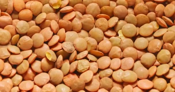 Imagens de close-up de lentilhas marrons secas naturais girando — Vídeo de Stock