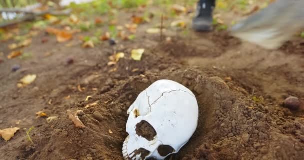 Pohřbení lebky pod zem s lopatou — Stock video
