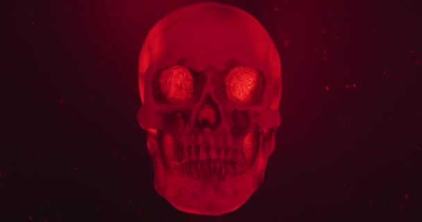 Cráneo con lazo de iluminación de color primer plano con partículas — Vídeos de Stock