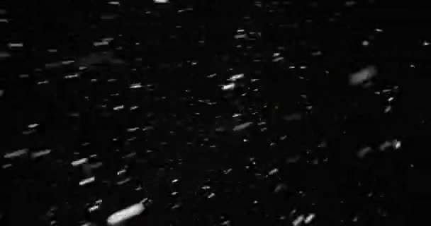 어두운 배경에 하얀 눈이 내리고 있다 — 비디오