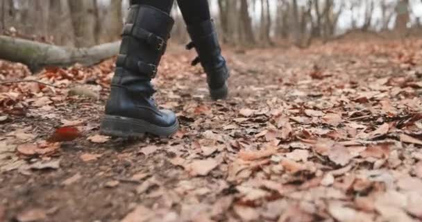 Kamera folgt Frauenbeinen beim Spazierengehen im Wald in Zeitlupe — Stockvideo