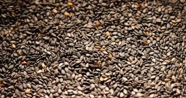 Closeup photo of natural dried black seeds rotating — Stock Photo, Image