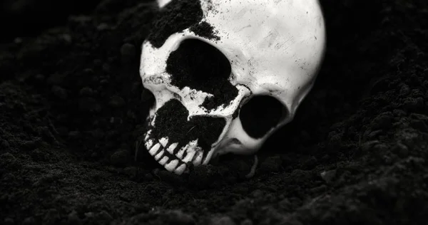 Crânio humano no solo preto e branco — Fotografia de Stock
