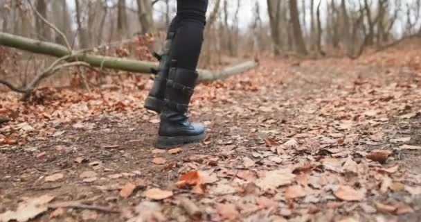 Kamera následující ženy nohy při chůzi v lese zpomalený pohyb — Stock video