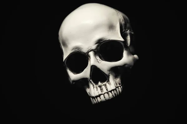 White skull against dark black background — Stock Photo, Image