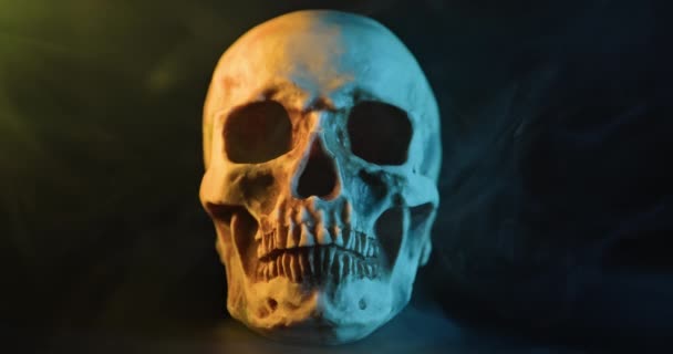 Skull Colored Lighting Loop Closeup — Stock Video