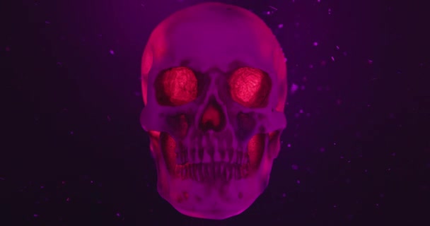 Skull Colored Lighting Loop Closeup — Stock Video