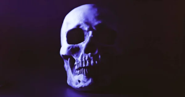 Totenkopf Mit Farbiger Beleuchtung Aus Nächster Nähe — Stockfoto