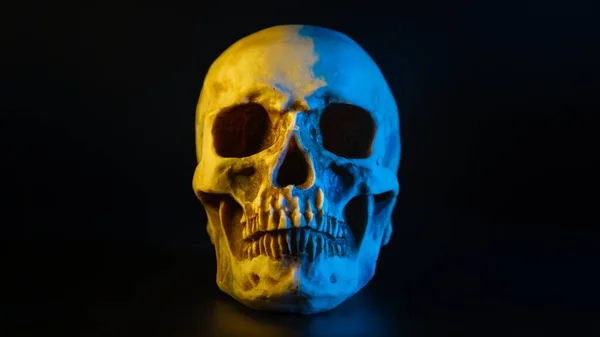 Crâne Humain Avec Éclairage Jaune Bleu Gros Plan — Photo