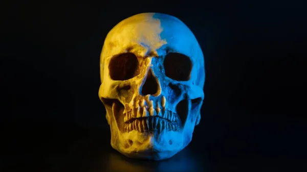 Human Skull Yellow Blue Lighting Closeup — Stock Photo, Image