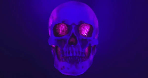 Cráneo Con Lazo Iluminación Color Cerca —  Fotos de Stock