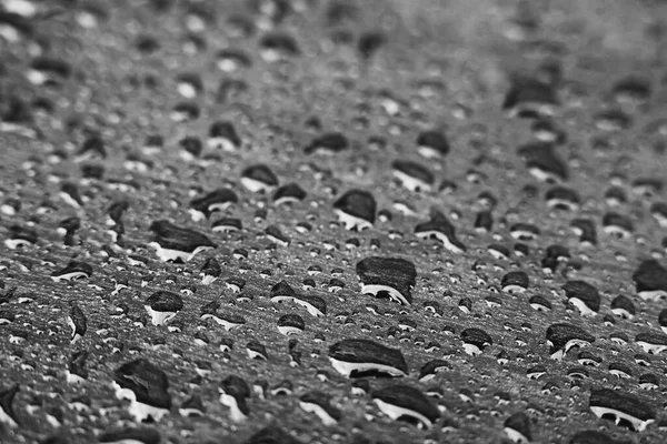 Water Drops Shiny Surface Close Photo — Stock Photo, Image