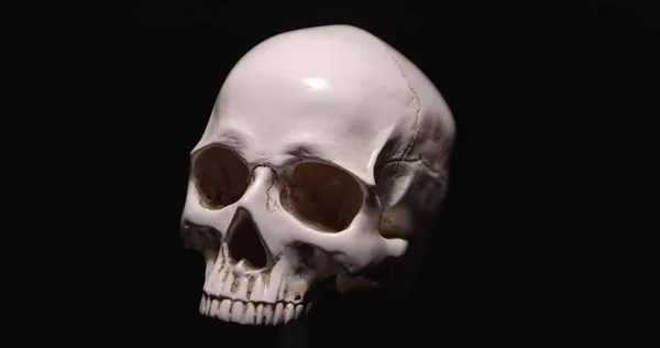暗い背景を背景に白い頭蓋骨を閉じる映像 — ストック写真