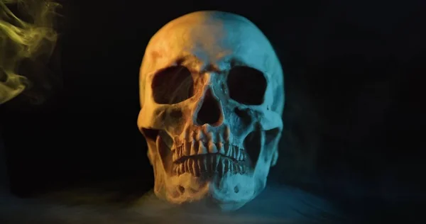 Skull Colored Lighting Loop Close — Stock Photo, Image