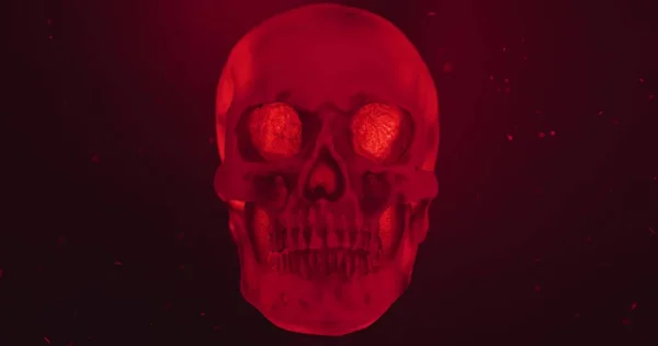 Cráneo Con Lazo Iluminación Color Cerca Con Partículas —  Fotos de Stock