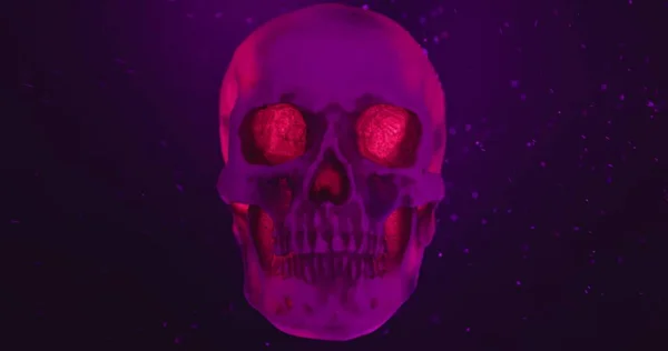 Cráneo Con Lazo Iluminación Color Cerca — Foto de Stock