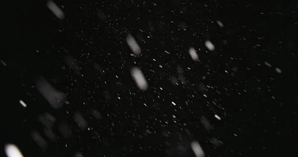 Neige Blanche Tombant Sur Fond Sombre Images 60Fps — Photo