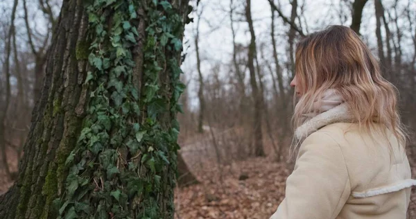 Žena Ruka Dotýkání Hlazení Kůra Stromu Fotoaparátem Sleduje Zpomaleném Filmu — Stock fotografie