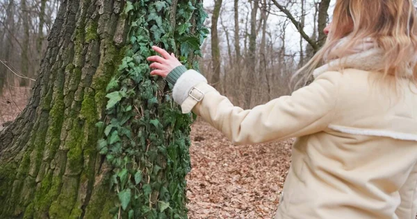 Vrouwelijke Hand Aanraken Strepen Schors Van Boom Met Camera Volgen — Stockfoto