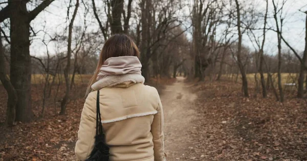 Kamera Kobietą Chodzącą Lesie Zwolnionym Tempie — Zdjęcie stockowe