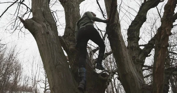 Cámara Siguiendo Mujer Trepando Primer Plano Del Árbol — Foto de Stock