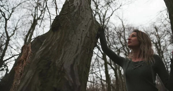 Spiritualiteit Vertegenwoordigd Met Vrouw Boom Closeup — Stockfoto