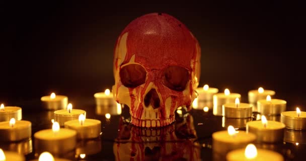 Blood stained skull against dark background closeup — Stock Video