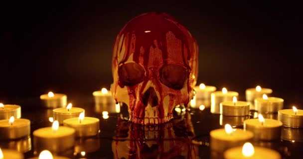 Blood stained skull against dark background closeup — Stock Video