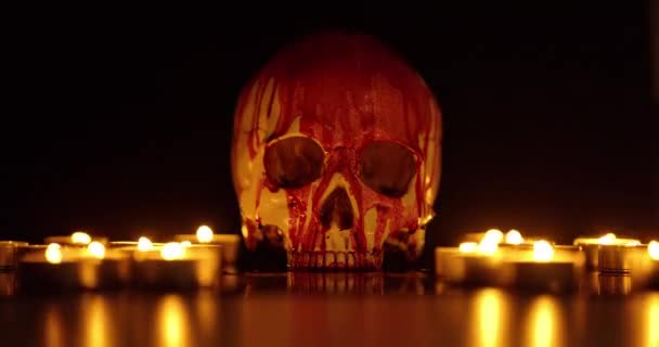 Blood stained skull against dark background closeup — Stock Video
