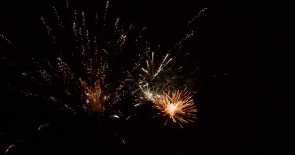 Abstraktes Feuerwerk in schleifbarer Zeitlupe — Stockvideo