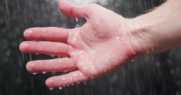 Water falling on palms against dark background — Stock Video