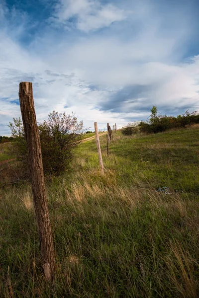 Recinzione Legno Azienda Con Sfondo Naturale Primo Piano — Foto Stock