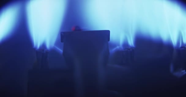 Μπλε Φλόγα Εγχώριου Καυστήρα Αερίου Closeup — Αρχείο Βίντεο