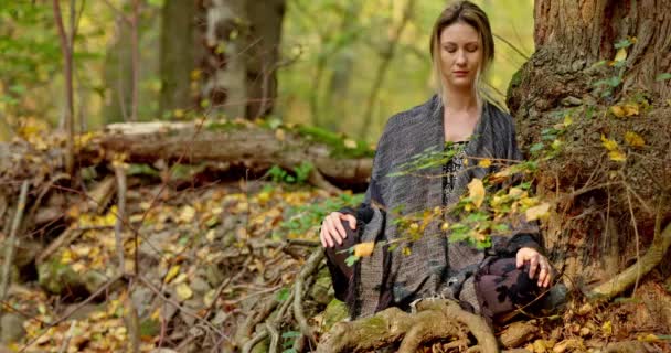 森の中で瞑想する女 — ストック動画