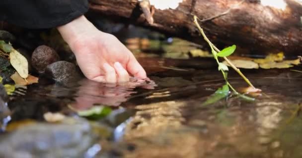渓流の中でラッキークリスタルを手洗浄 — ストック動画