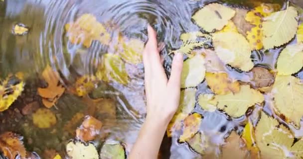 Mujer Tocando Suavemente Superficie Del Agua Con Hojas Otoñales — Vídeos de Stock