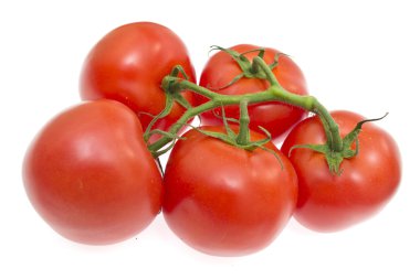 kiraz domates Şubesi