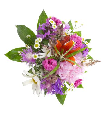 Beyaz arkaplanda izole edilmiş renkli çiçekler.