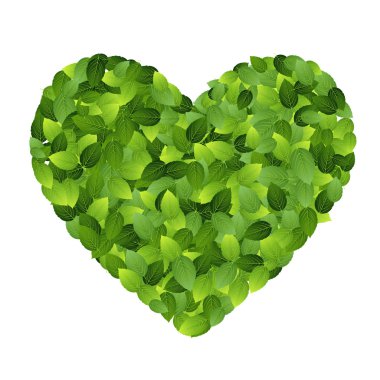 yeşil çevre dostu yeşil yaprakları etiketten. vektör çizim.