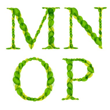 Bahar yeşil yapraklarından yapılmış vektör alfabesi harfleri.
