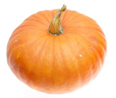 Olgun portakal kabağı