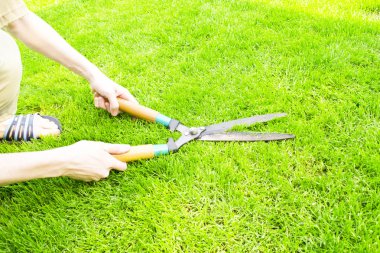 bush makas elleri kesilir