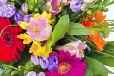 Beyaz arkaplanda izole edilmiş renkli çiçekler..